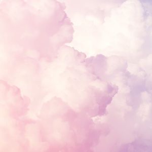 Meet your Posher, Dakotah